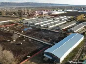 Hale 16 mii mp cu 9 ha teren intravilan 