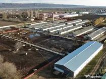 Hale 16 mii mp cu 9 ha teren intravilan