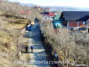 CALIMANESTI, TEREN 1231 MP 