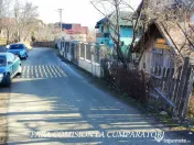 CALIMANESTI, TEREN 1231 MP 