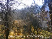 CALIMANESTI, TEREN 1231 MP 