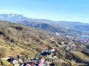 CALIMANESTI, TEREN 1231 MP 