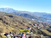 CALIMANESTI, TEREN 1231 MP 