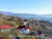 CALIMANESTI, TEREN 1231 MP 