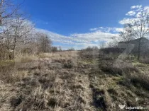 Teren 1100/2200 mp, zona Cosoveni-Profi