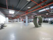 De vânzare spațiu industrial PGS Sofa, calea Borșului 