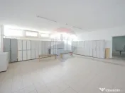 De vânzare spațiu industrial PGS Sofa, calea Borșului 