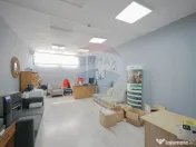 De vânzare spațiu industrial PGS Sofa, calea Borșului 