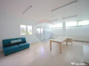 De vânzare spațiu industrial PGS Sofa, calea Borșului 