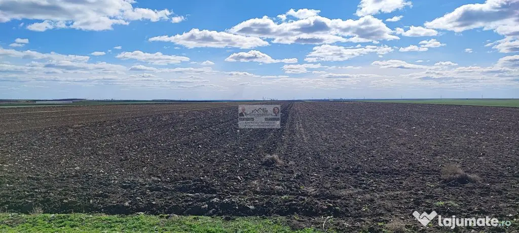 Teren extravilan 13.500 mp/ Valea Marului