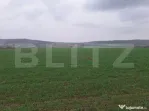 Teren extravilan agricol, 4200 mp, zona Cugir