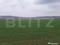 Teren extravilan agricol, 4200 mp, zona Cugir