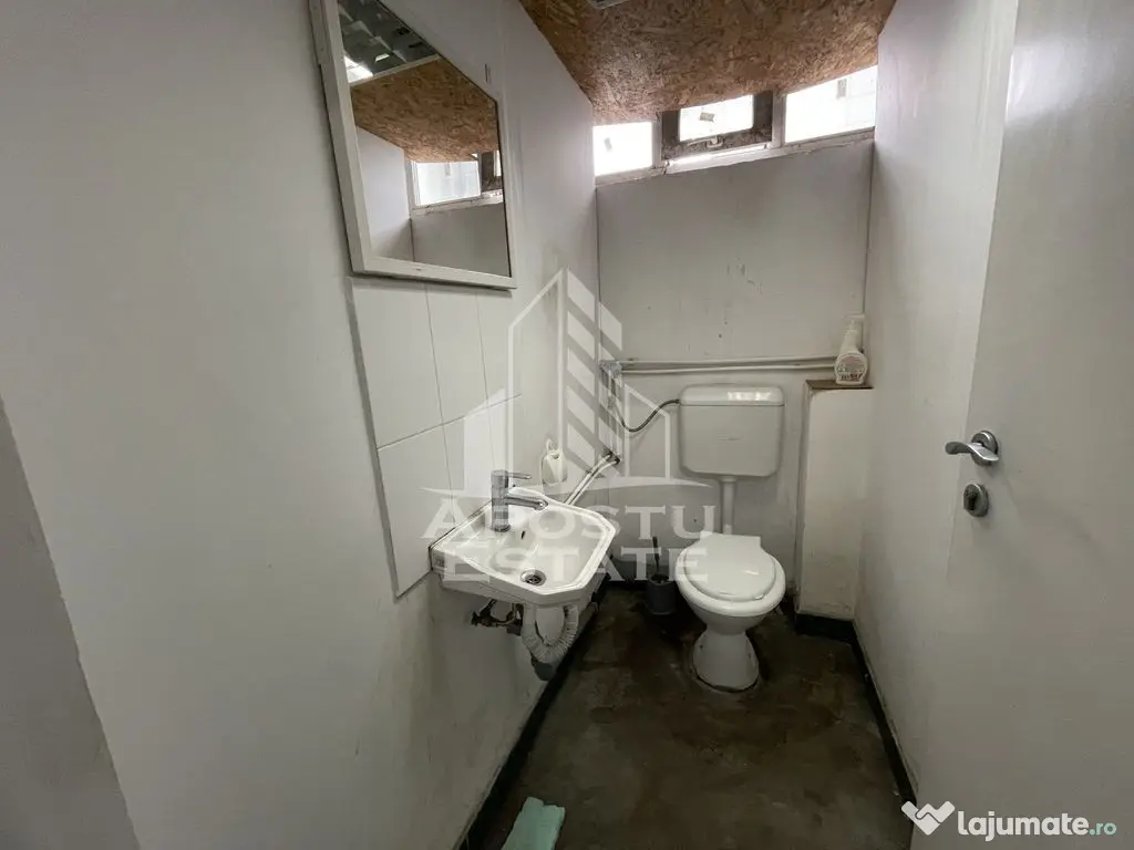 Hala de 670 mp cu birouri 50 mp, Zona Semicentrala - Timisoara (Timis)