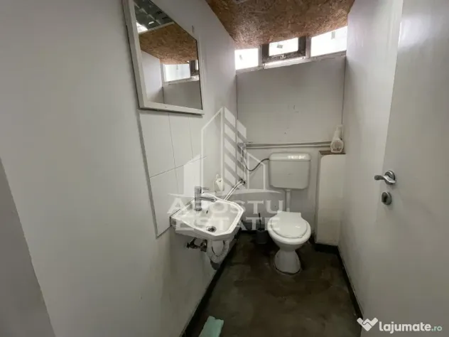 Hala de 670 mp cu birouri 50 mp, Zona Semicentrala - Timisoara (Timis)