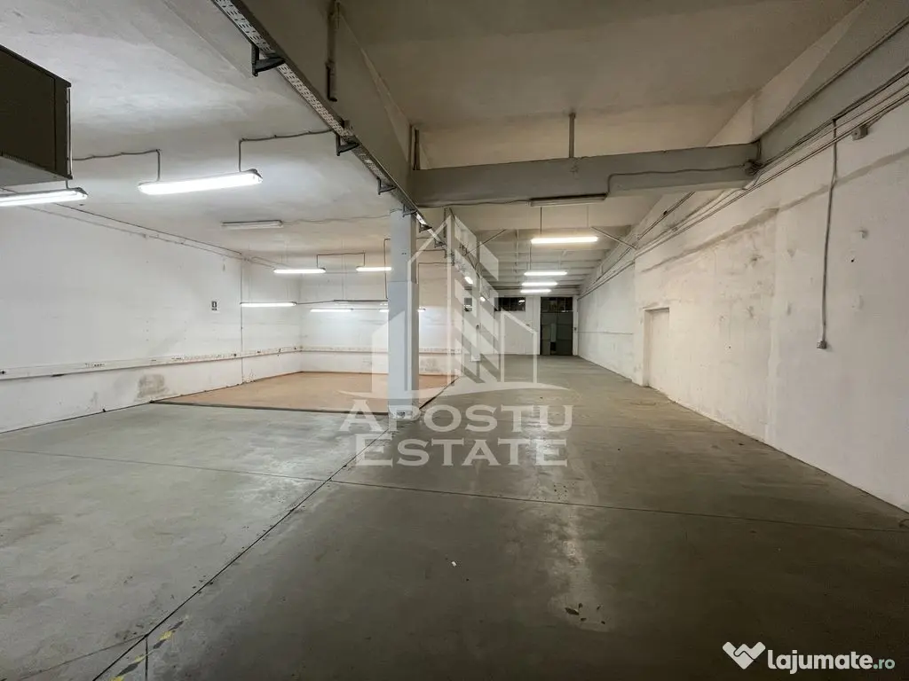 Hala de 670 mp cu birouri 50 mp, Zona Semicentrala - Timisoara (Timis)
