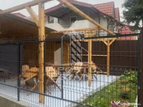 Casa unifamiliala în Timișoara,cu spațiul comercial