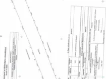 Livada de vanzare, 10000 mp, zona Voinesti