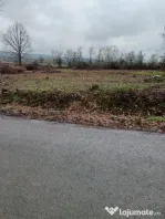 Unguras, 20 ari teren