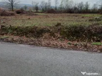 Unguras, 20 ari teren