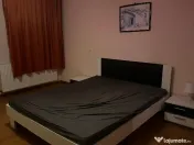 Vila Vatra Noua 5 Camere 