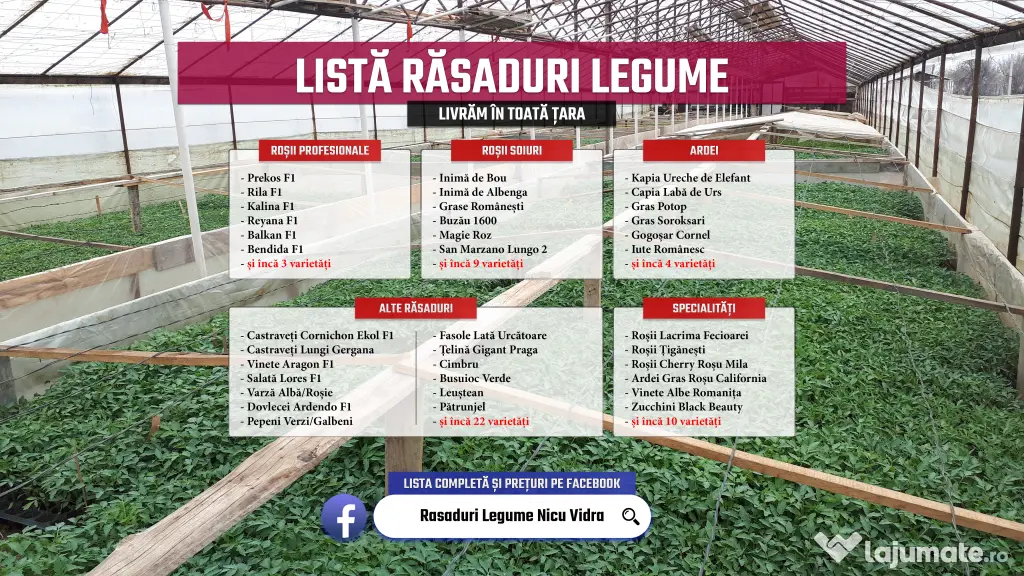 Rasad rosii Rasaduri Legume ardei castraveti vinete salata tomate 2026