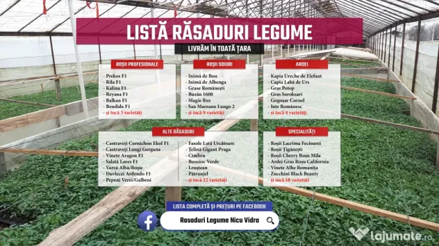 Rasad rosii Rasaduri Legume ardei castraveti vinete salata tomate 2026