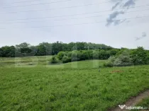 Teren extravilan de vânzare Vlaha 14.500 mp, zonă superbă