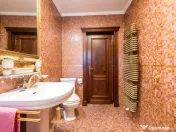 Vila cu piscina pe malul lacului-Snagov -Ciofliceni 