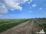 TEREN INTRAVILAN 50000 MP AGIGEA ZONA RO RO 