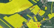 Teren de vanzare in Corpadea! 1000 MP 