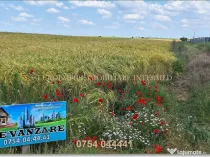 Teren intravilan de vanzare in Lazu 5000mp