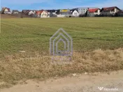 Teren Sfantu Ilie, vis-a-vis Moara 