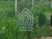 Teren , Sf Ilie Nou, zona Profi 