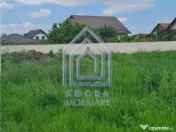 Teren , Sf Ilie Nou, zona Profi 