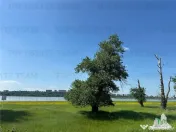 CLADIRE LA ROSU (FOST RESTAURANT LOTCA) - I.C.BRATIANU 