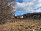 Teren Cicanesti Arges, la 10 KM de Transfagarasan - Comision 