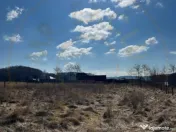 Teren Cicanesti Arges, la 10 KM de Transfagarasan - Comision 