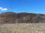 Teren Cicanesti Arges, la 10 KM de Transfagarasan - Comision 