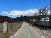 Teren Cicanesti Arges, la 10 KM de Transfagarasan - Comision 