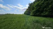 Teren Ilisesti 7000mp extravilan/ DN 17, Suceava 