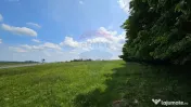 Teren Ilisesti 7000mp extravilan/ DN 17, Suceava 
