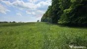 Teren Ilisesti 7000mp extravilan/ DN 17, Suceava 
