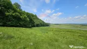 Teren Ilisesti 7000mp extravilan/ DN 17, Suceava 