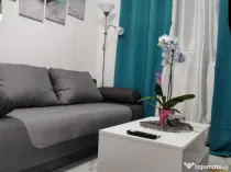 1 camera in zona Take Ionescu