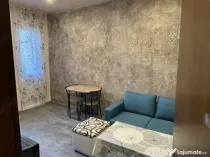 1 camera in zona Buziasului