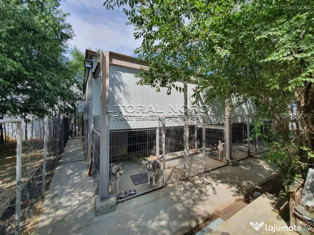 Exclusivitate-Ovidiu-Pet Hotel, 220 mp utili,teren intravilan 1.417mp