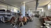 Fabrică de confecții textile activă, 1.600 mp, 11.720 mp 