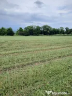 Teren extravilan de vânzare, 4900 mp, Boldești Scaieni