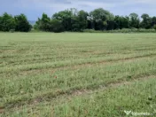 Teren extravilan de vânzare, 4900 mp, Boldești Scaieni 