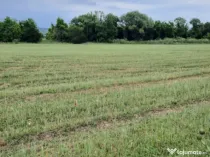 Teren extravilan de vânzare, 4900 mp, Boldești Scaieni